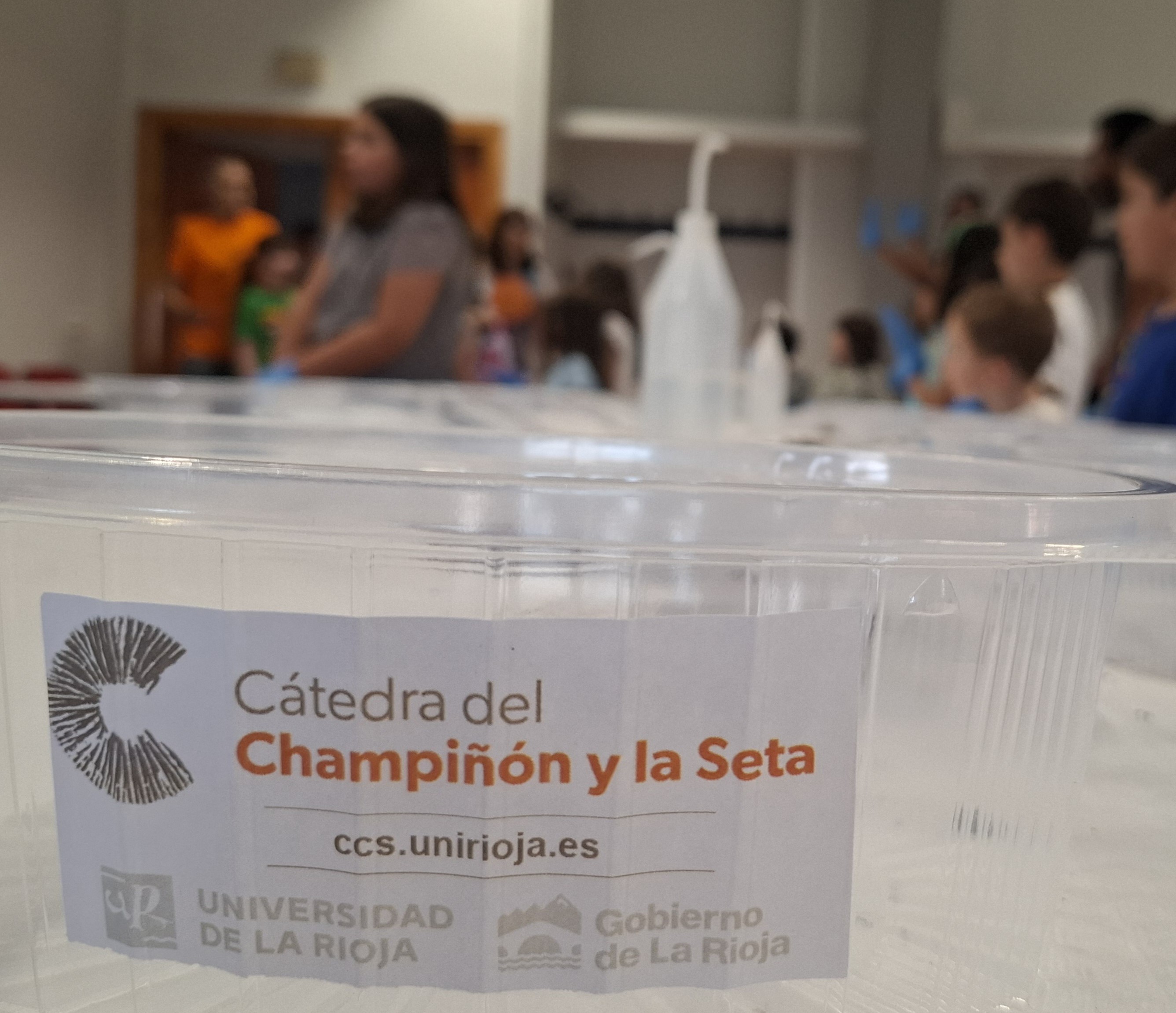 Éxito del taller “Cultiva tu champi” en CIENCIALIA