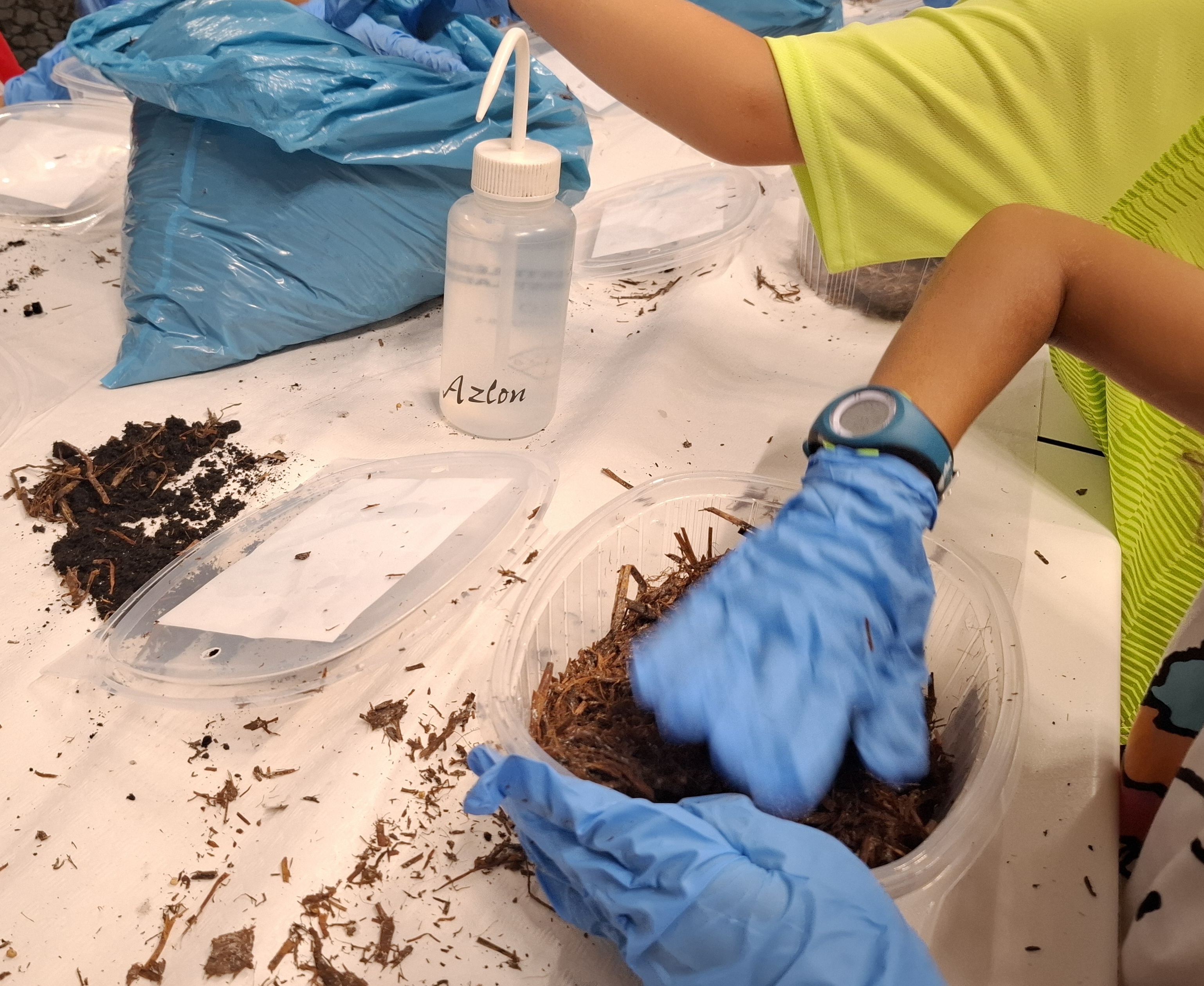 Éxito del taller “Cultiva tu champi” en CIENCIALIA